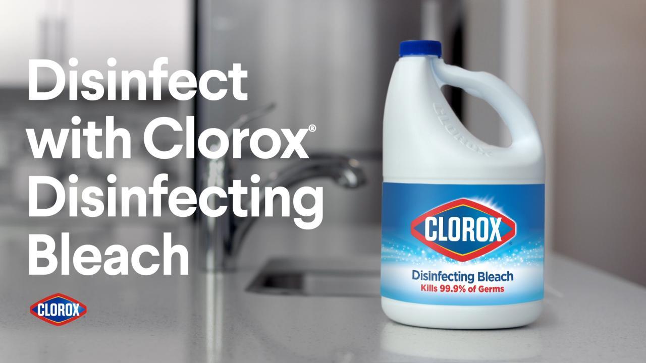 Clorox 81 oz. Concentrated Regular Disinfecting Liquid Bleach Cleaner  4460032263 - The Home Depot