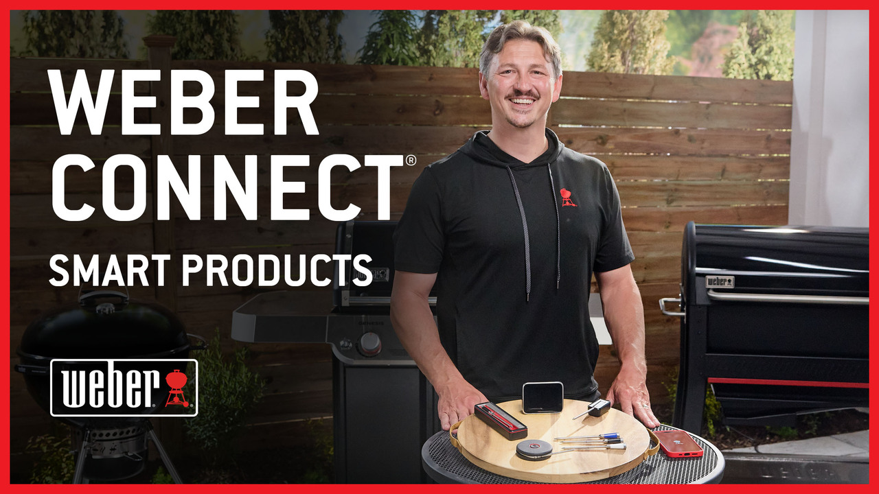 Weber Smart Probe and Grate Sensor 3400516 - The Home Depot