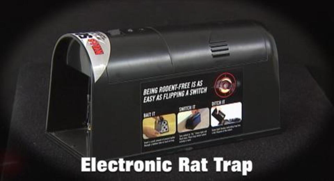 Victor Humane Battery-Powered Easy-to-Clean No-Touch Instant-Kill Indoor Electronic  Mouse Trap M250S - The Home Depot