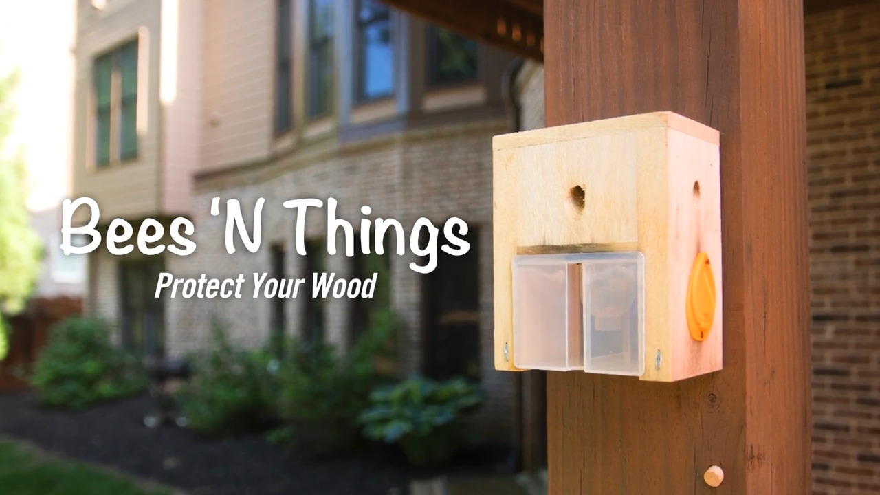 Bees N Things Carpenter Bee Trap