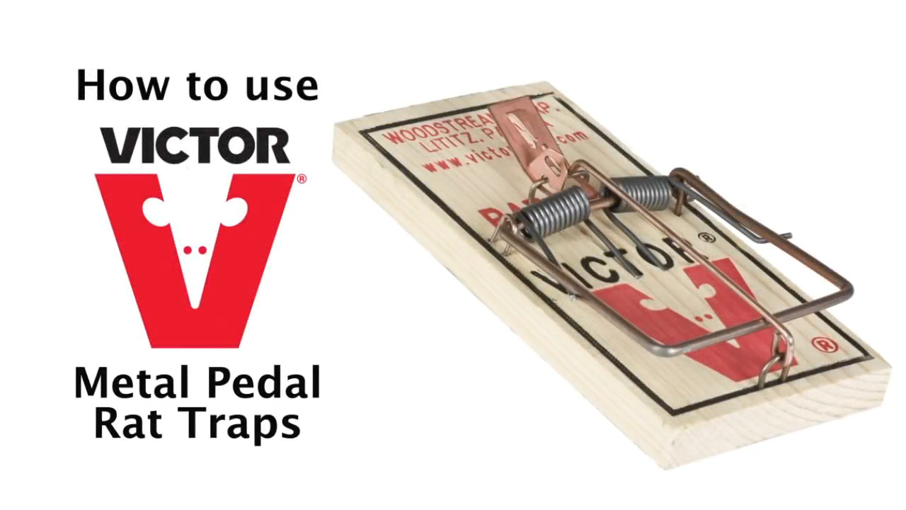 Victor Metal Pedal Mouse Trap (Pack Of 72)