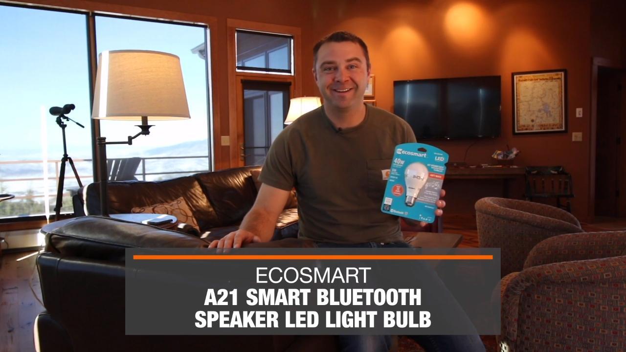 ecosmart b6a21a40wulf01