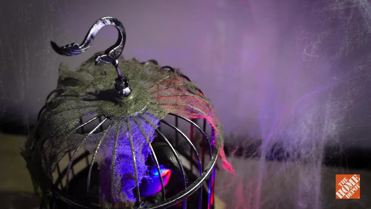Home Accents Holiday - 10 in. Animated Talking Raven in Cage with LED Illumination