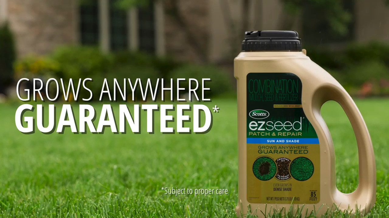 Scotts EZ Seed Patch and Repair Tall Fescue Lawns, 20 lbs