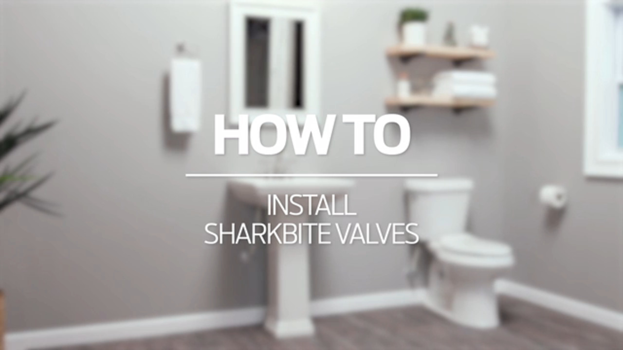 SharkBite 1/2 in. x 3/4 in. Brass Push-to-Connect Washing Machine