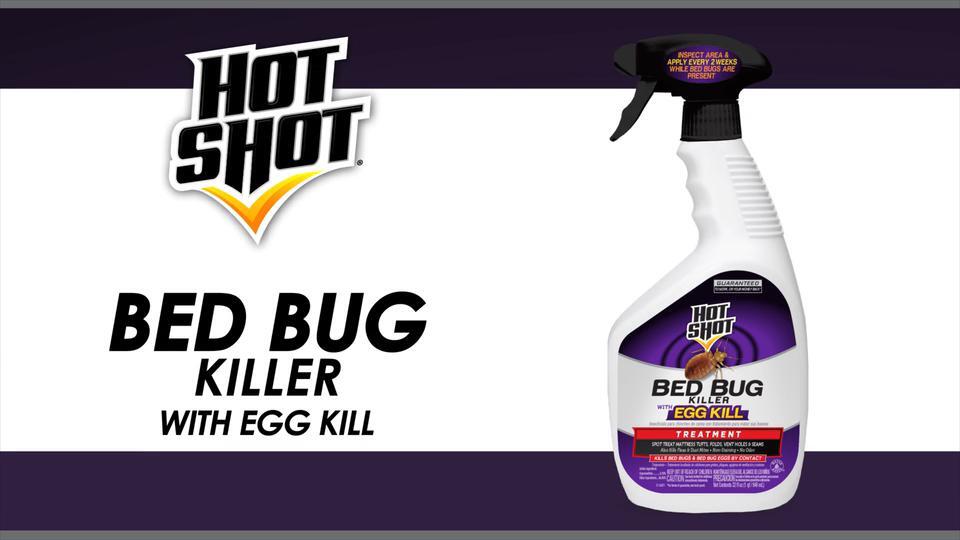 Hot Shot Bed Bug Killer 1 Gal Ready To Use Treatment With Egg Kill Hg 1 The Home Depot