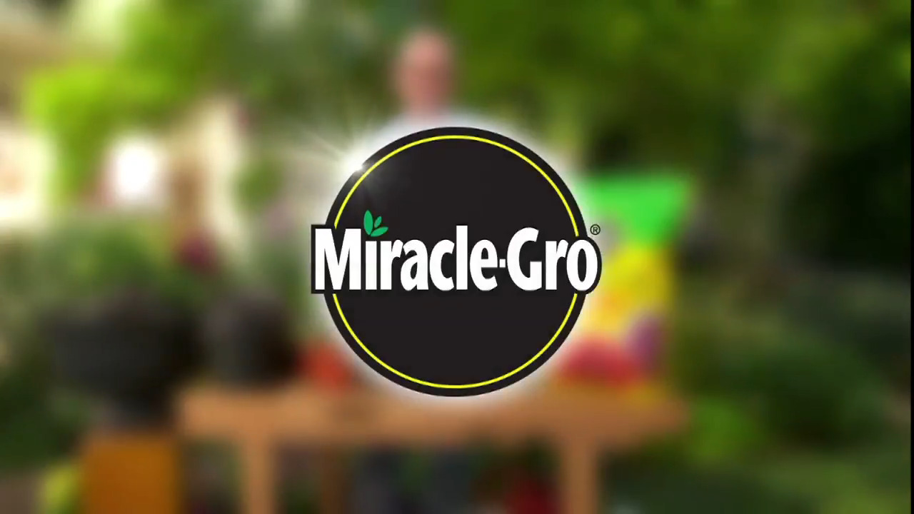 Miracle-Gro - Potting Mix 50 qt. For Container Plants, Flowers, Vegetables, Shrubs, Feeds up to 6 Months