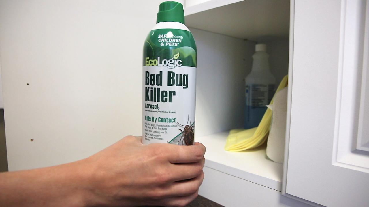 Hot Shot Kitchen Bug Killer - 14 oz can