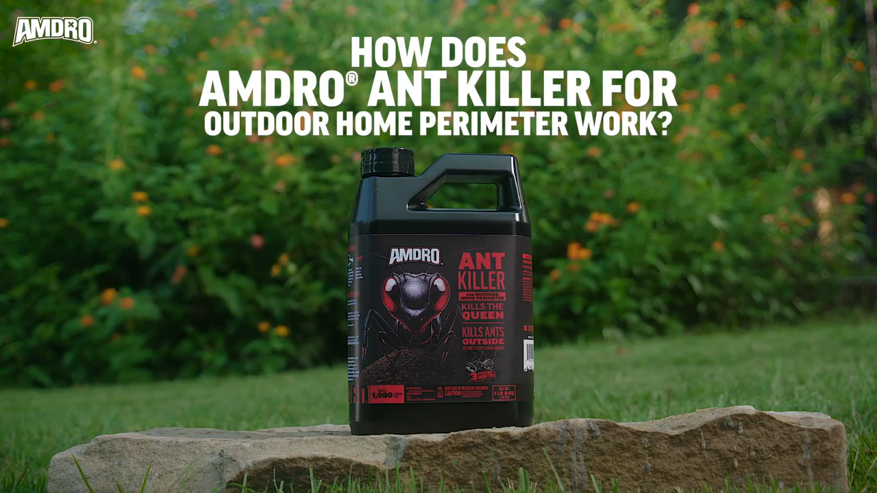 1 lb. 1,080 sq. ft. Outdoor Ant Killer Granule Bait for Home Perimeters with 3-Month Control