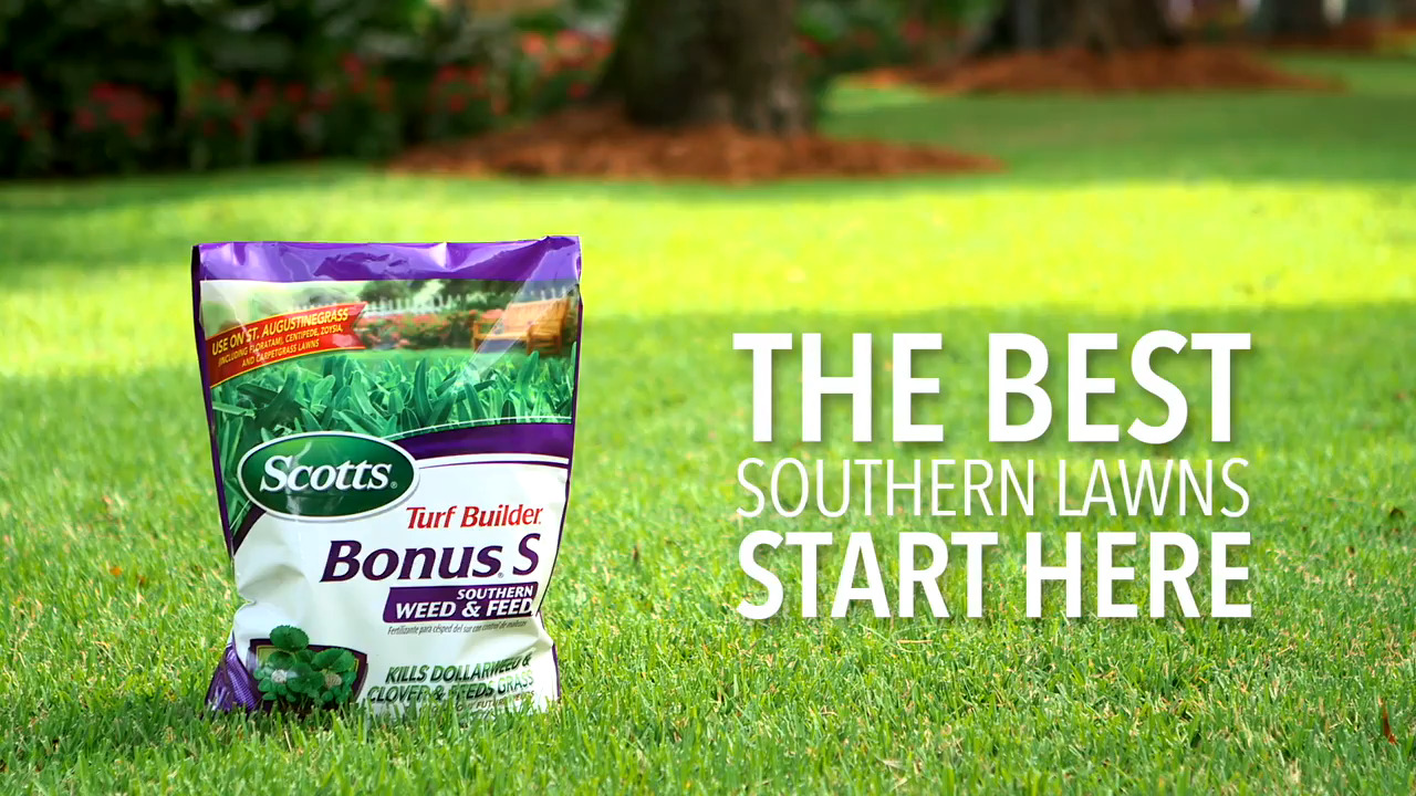 Scotts Lawn Basics Collection (Southern Lawns)