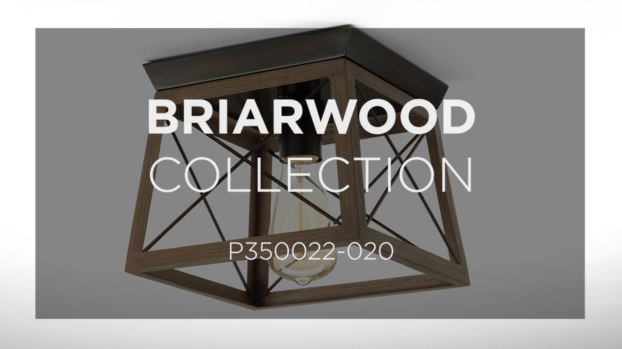 Progress lighting p350022 briarwood deals flush mount light