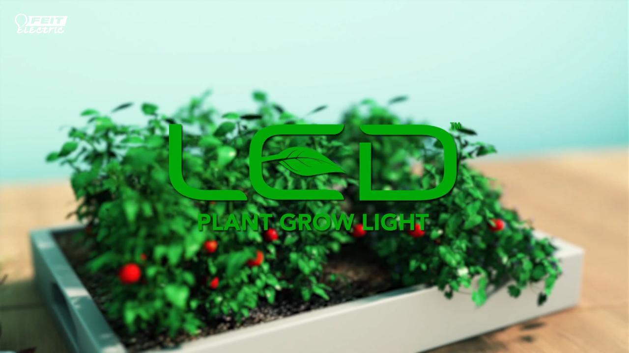 30W LED Grow Light for Seeding, Indoor Plants Growing, Flowers, Garden