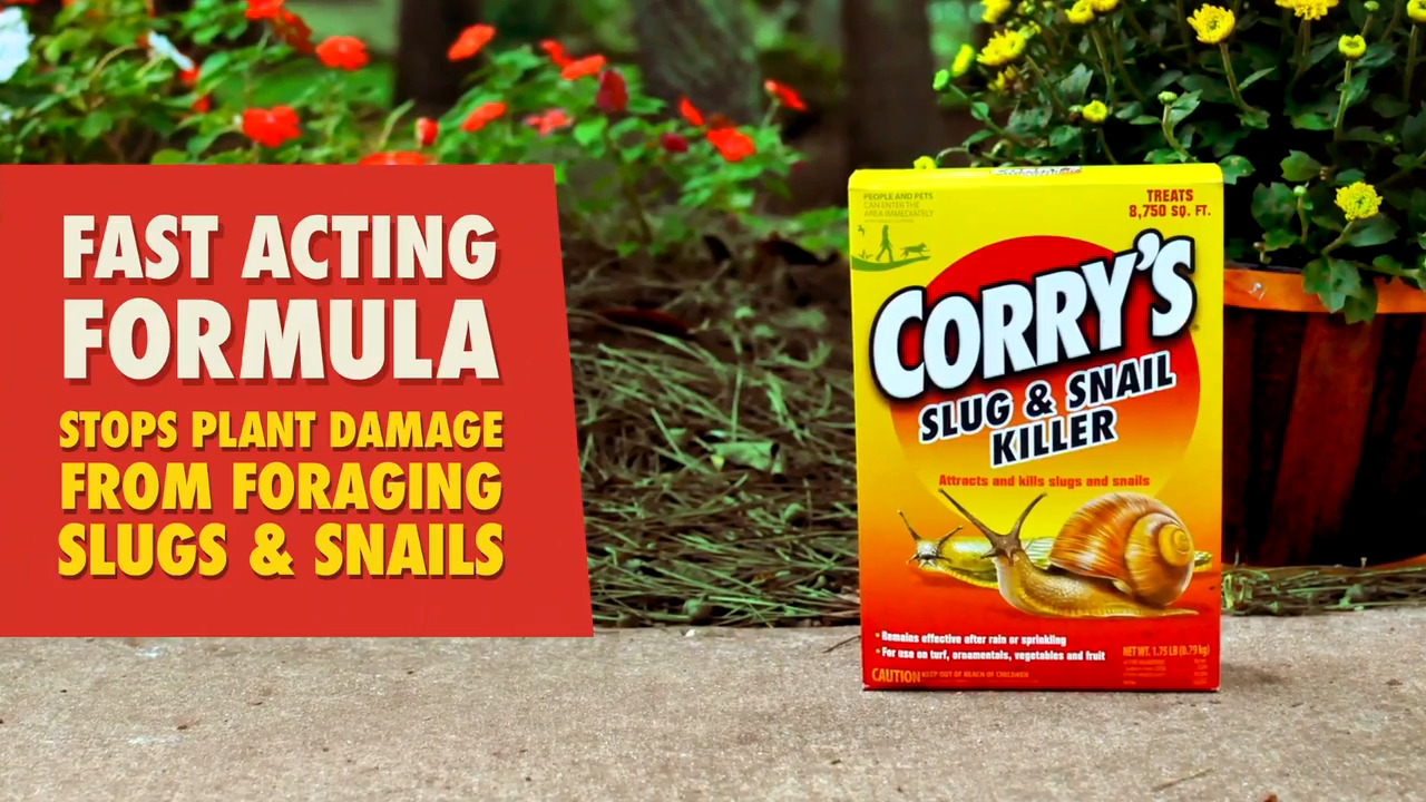 Corry's Slug and Snail Killer 1.75 lb