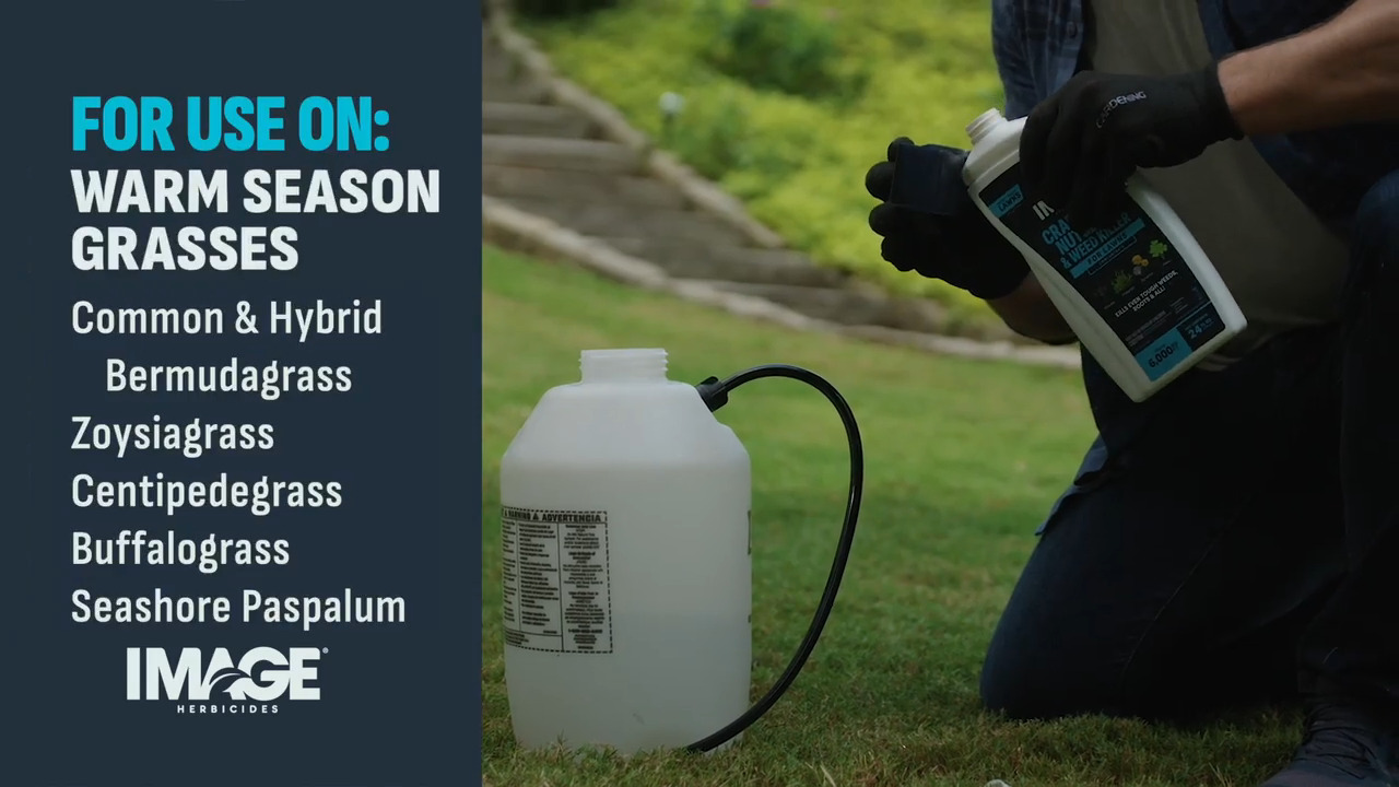 IMAGE 24 oz. 6,000 sq. ft. All-In-One Lawn Weed Killer Concentrate for  100-Plus Weed Types 100551404
