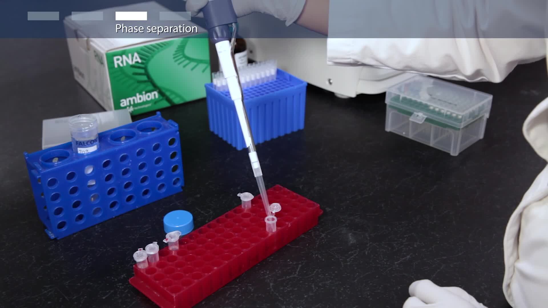 How to isolate RNA from tissue or cells