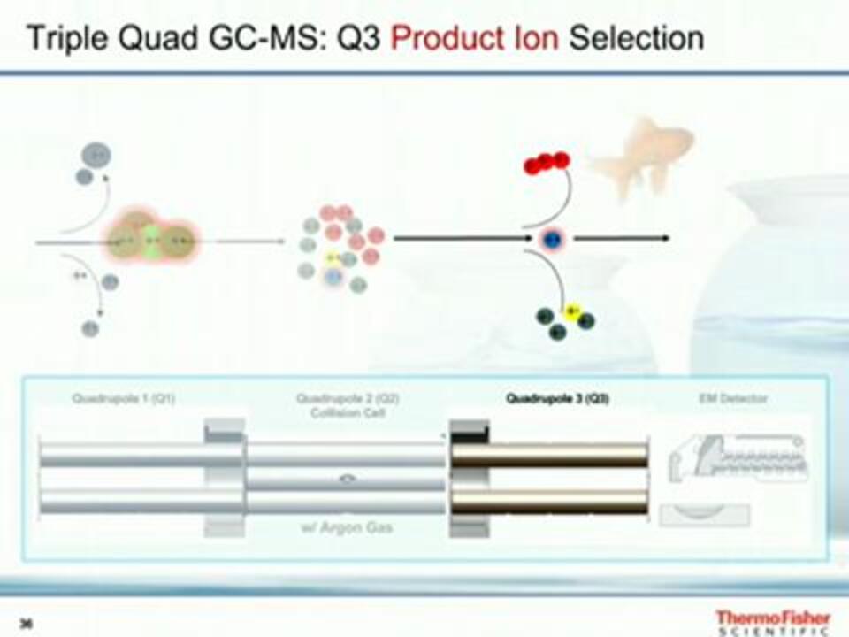 Mass Spectrometry Technology Overview | Thermo Fisher Scientific - US