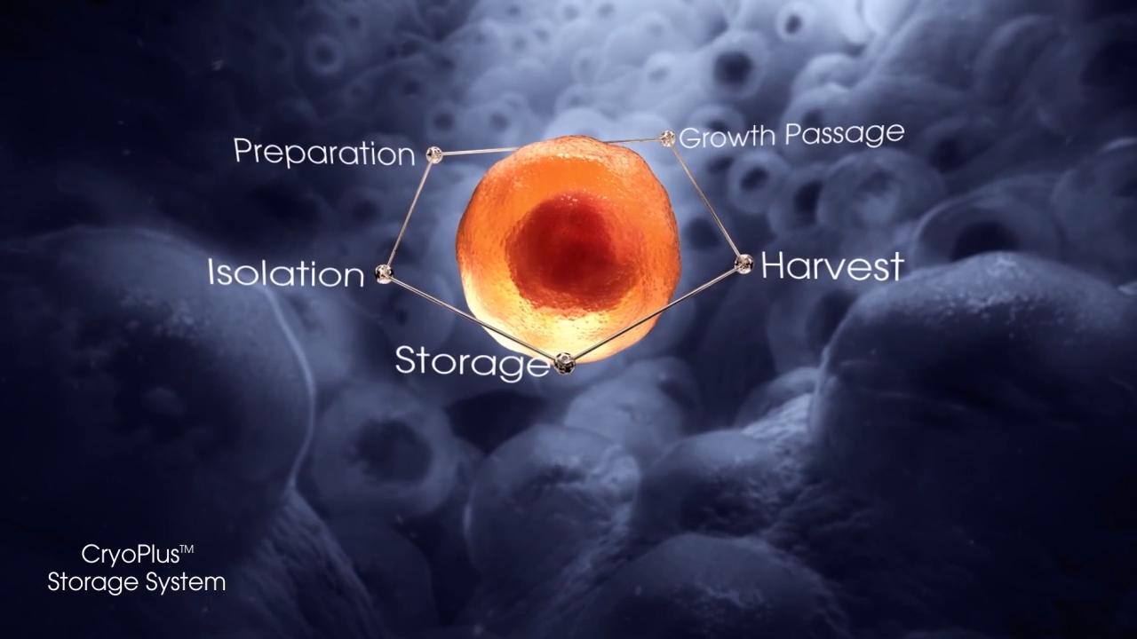 Journey of a cell video