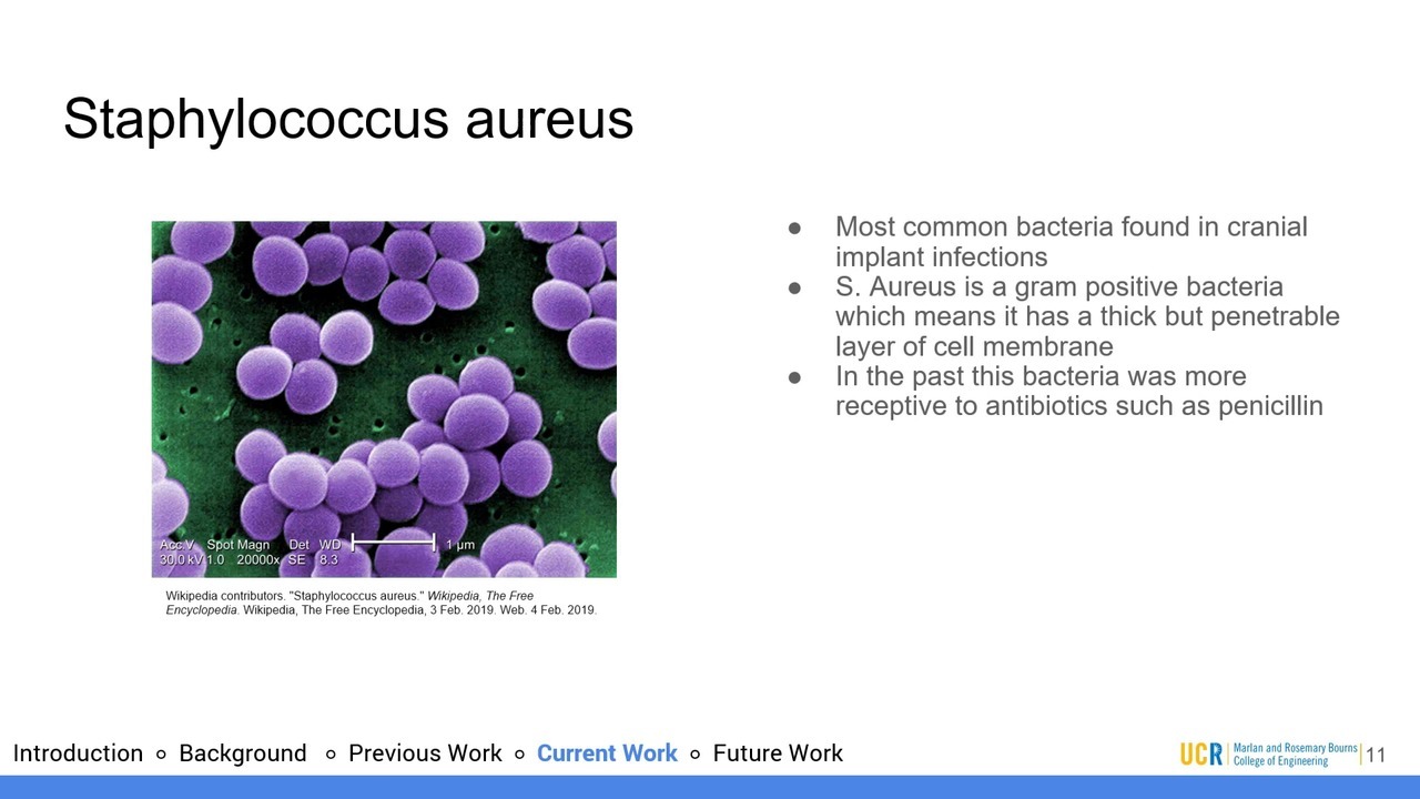 Growth Inhibition Of Staphylococcus Aureus By A Combined Treatment