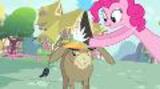 My Little Pony - Meet Pinkie Pie