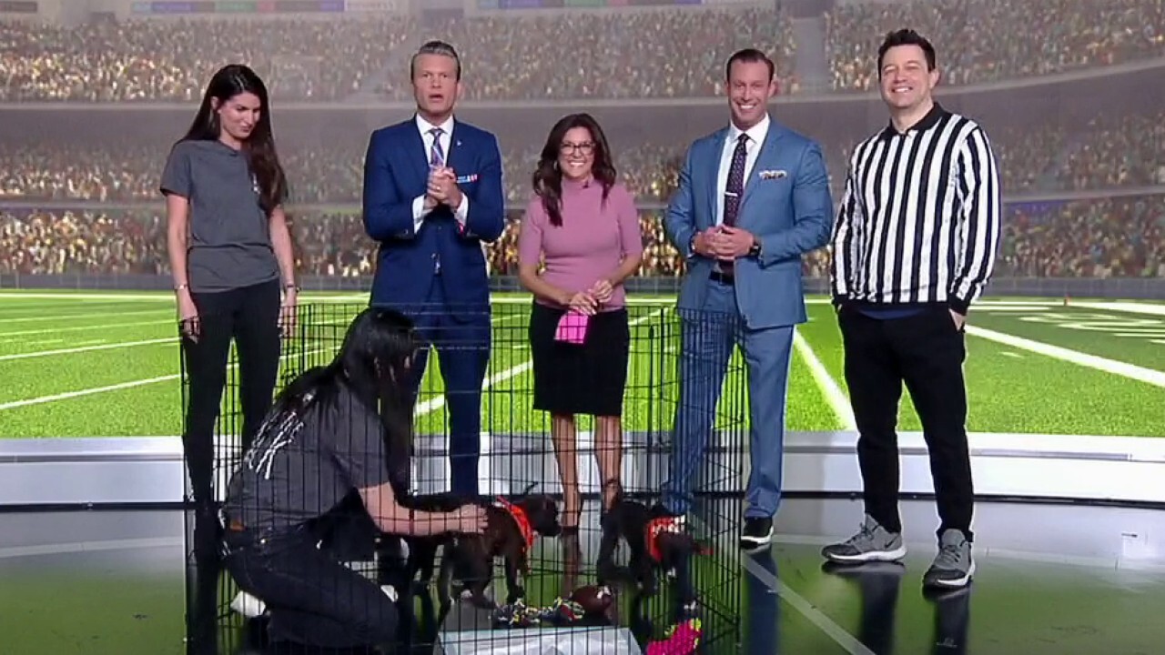 'Fox & Friends' prepares for the Puppy Bowl
