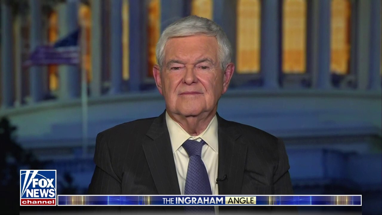 Newt Gingrich: Trump probably pops champagne corks every time a candidate enters the GOP field