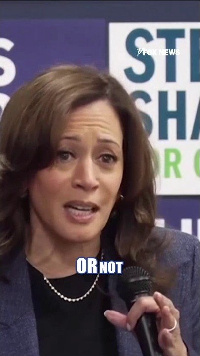 Kamala Harris says Democrats have ‘been pissed’ for the last year and a half
