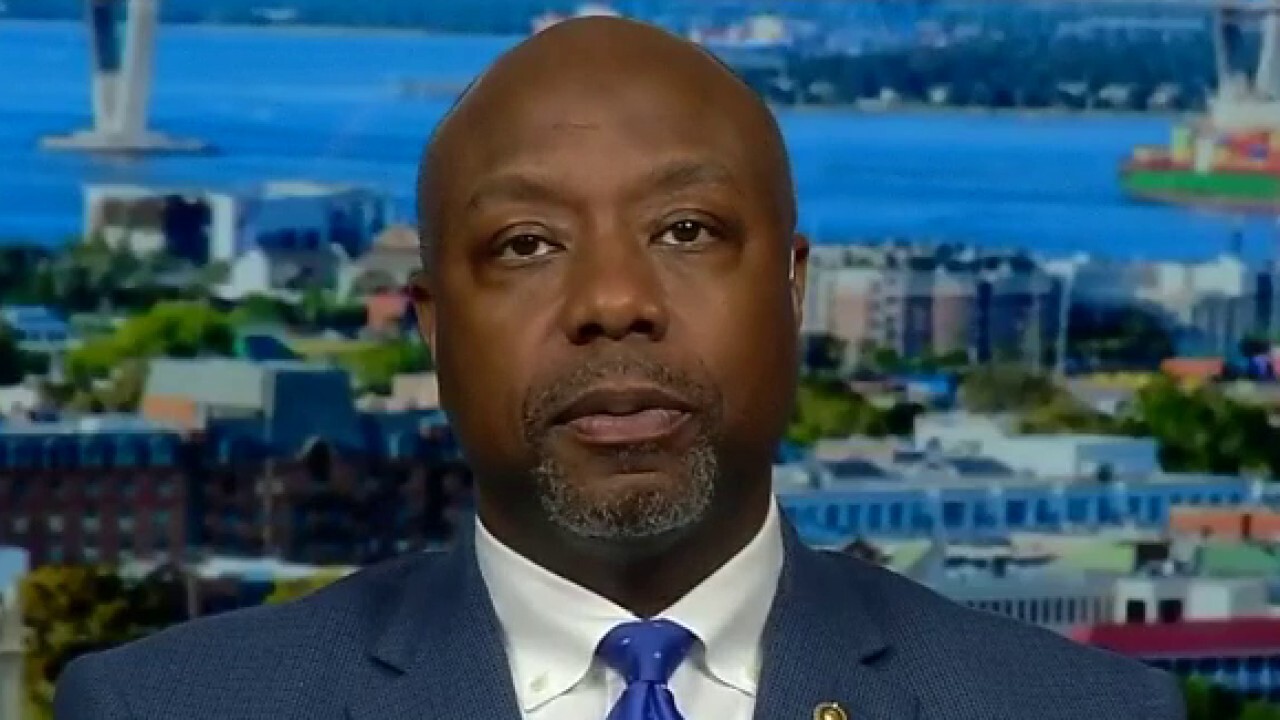 Sen. Tim Scott says Joe Biden's record on African-American issues has been questioned by his own party