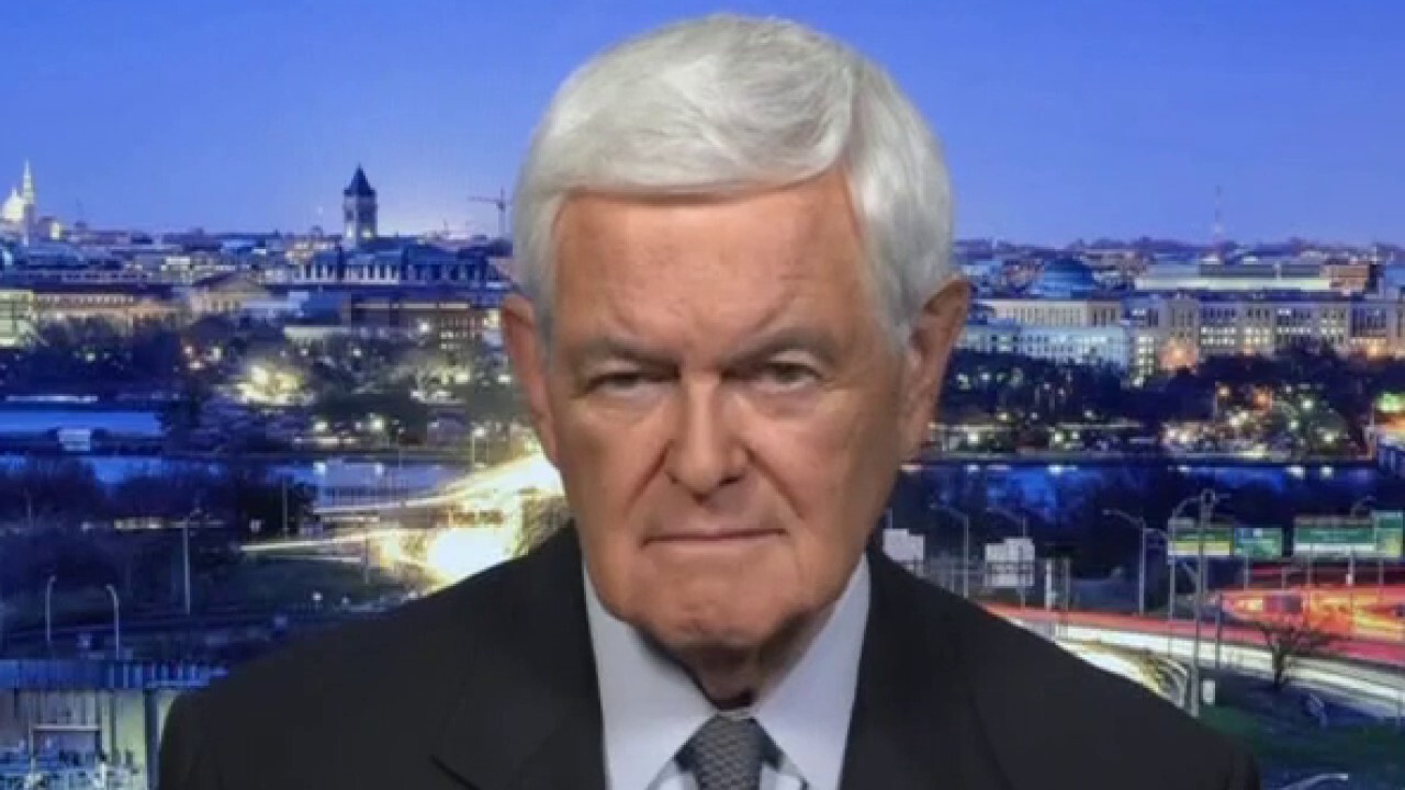 Newt Gingrich: No one in US history has done the amount of damage Biden has done in just weeks
