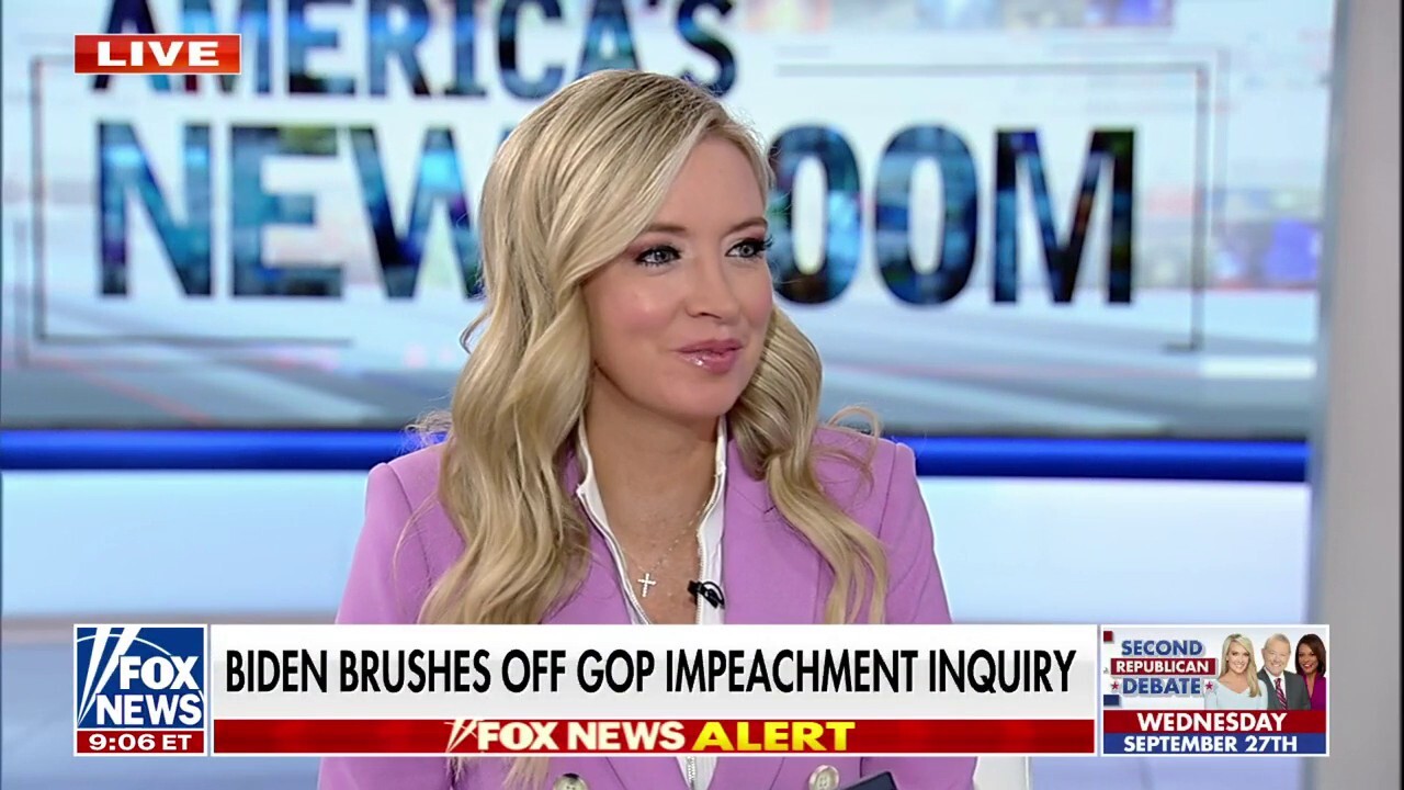 Kayleigh McEnany: Democrat elites are out of touch with voters