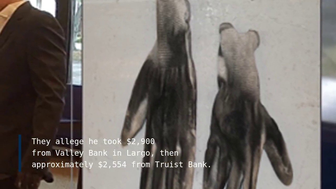 Convicted bank robber returns to old tricks with 'Old Man' mask in Florida heists, Feds say