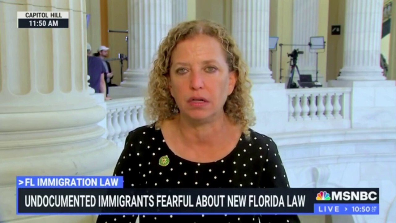 Dem. Rep claims that Florida won't have vegetable pickers once DeSantis’ anti-illegal immigrant law in effect