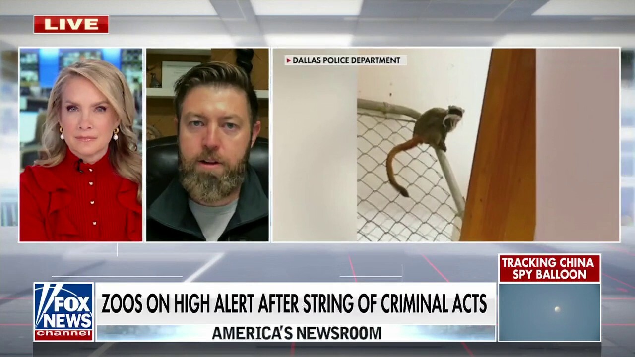 Dallas police arrest monkey theft suspect