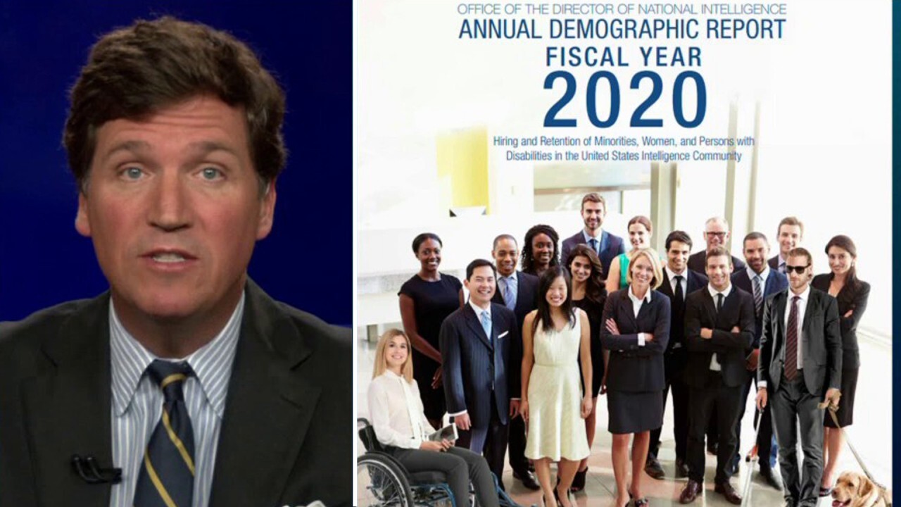 Tucker mocks government agency for using stock photo to show diversity