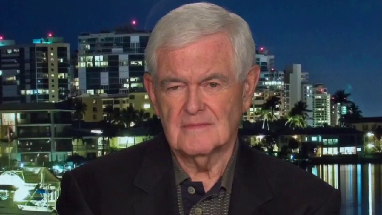 Newt Gingrich: Left’s big-government, socialist system ‘falling apart’ – and Americans know it