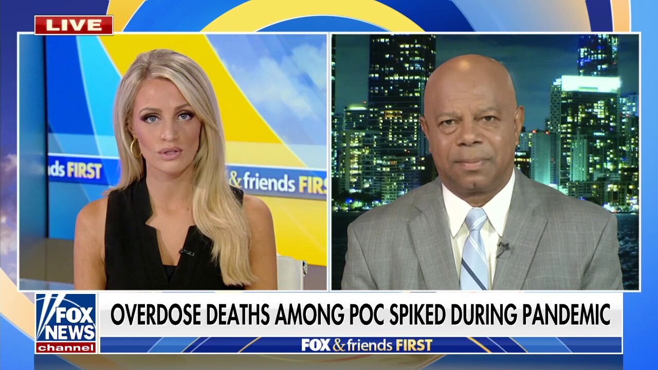 David Webb on CDC blaming racism for overdoses: They ought to shut their doors