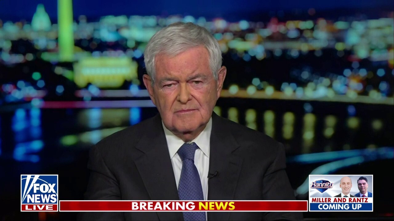 Everything the Biden White House says about this is a lie: Newt Gingrich
