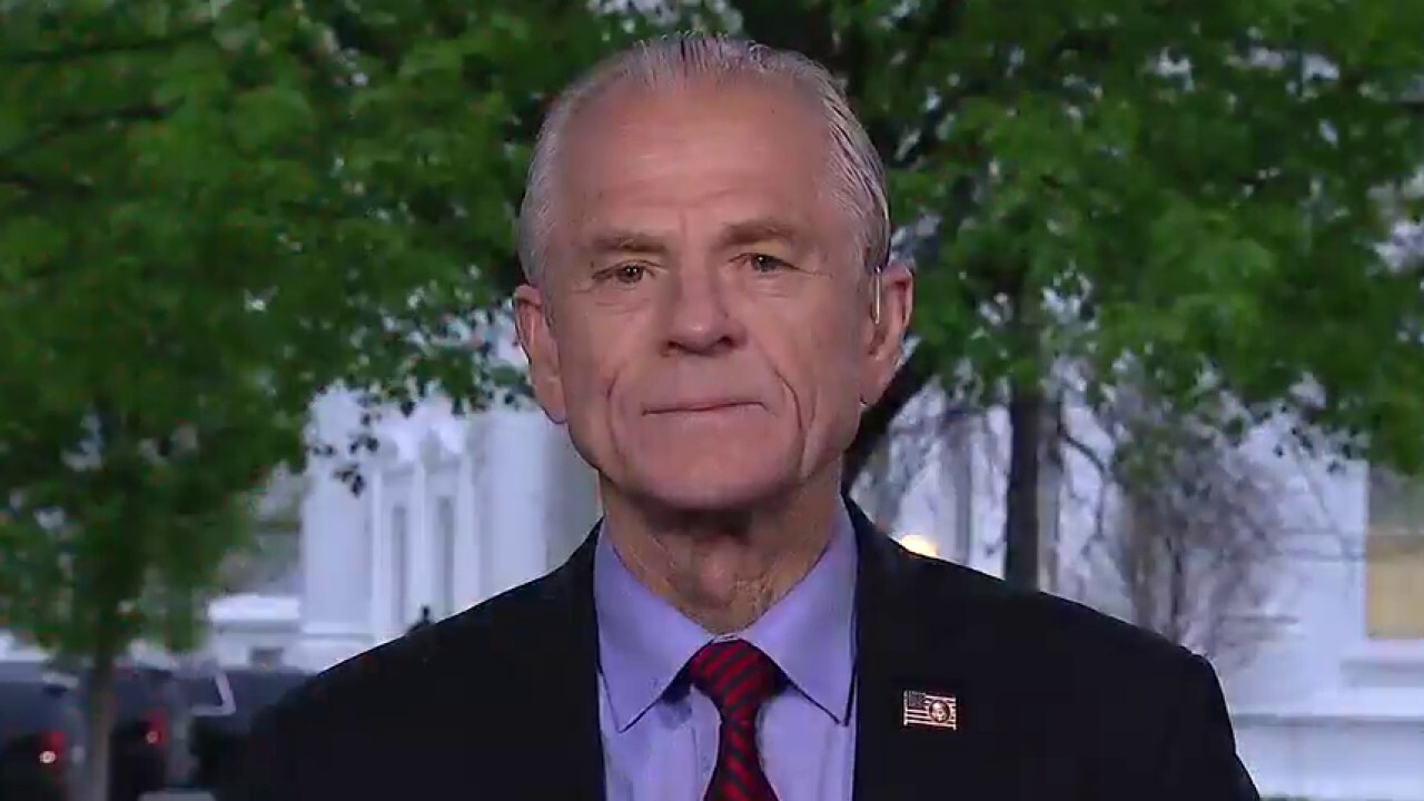 Peter Navarro on President Trump's decision to halt WHO funding, private-public response to COVID-19 crisis