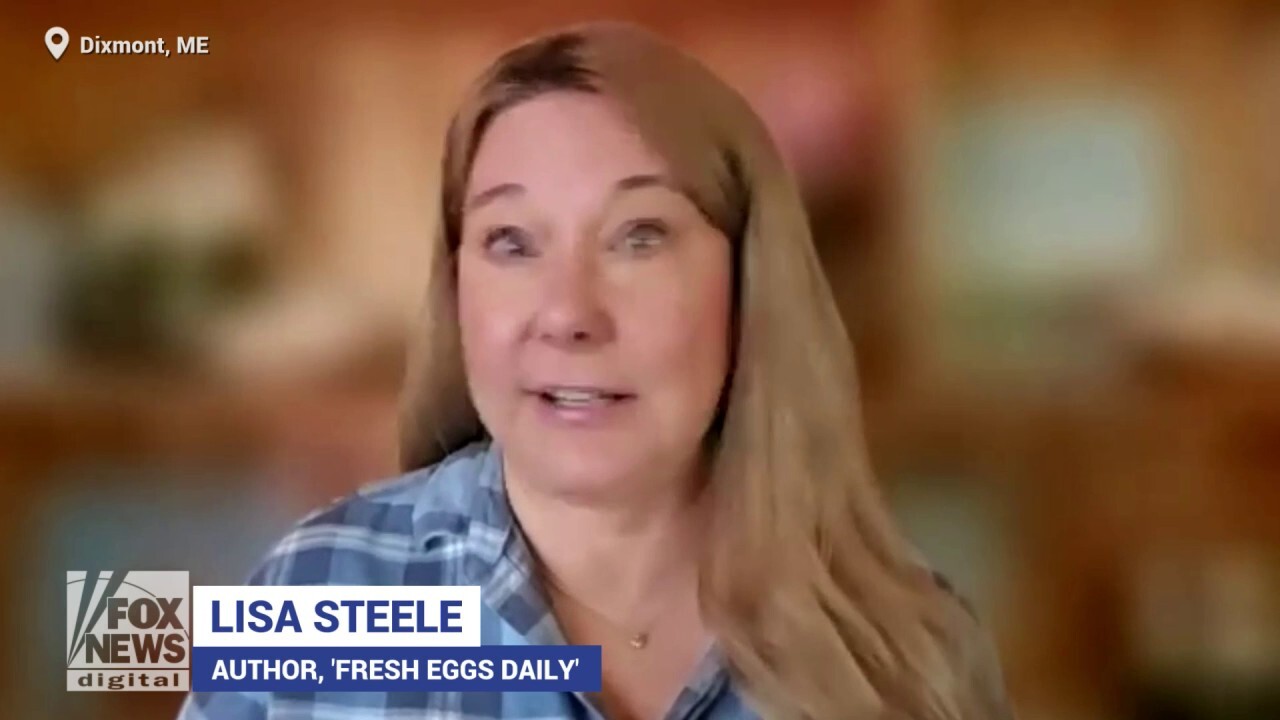 On World Egg Day, author reveals 'gold standard' of eggs found at grocery stores