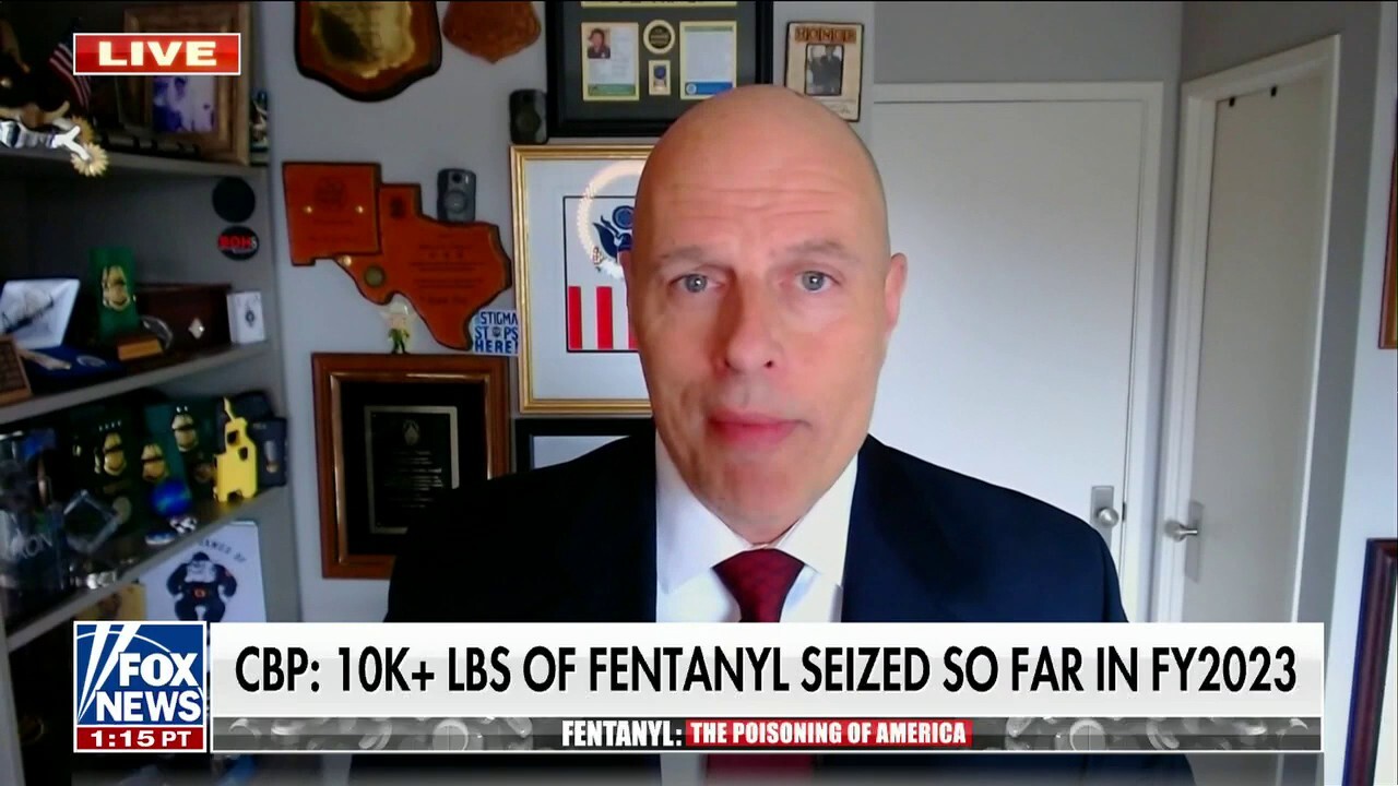 US can work on diplomatic relations and fentanyl demand to taper crisis: Ron Vitiello