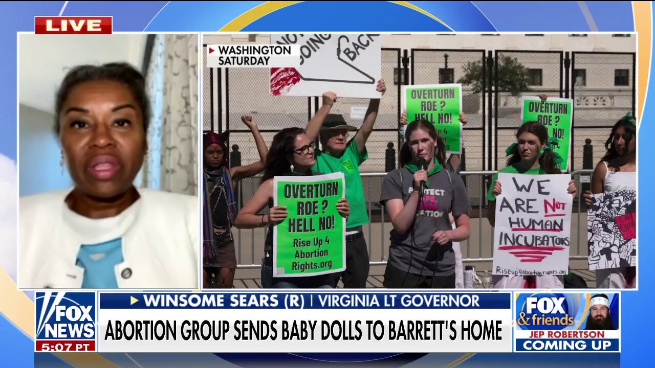 Virginia’s Winsome Sears rips the left for ‘indoctrination’ in schools following youth abortion protests – World news