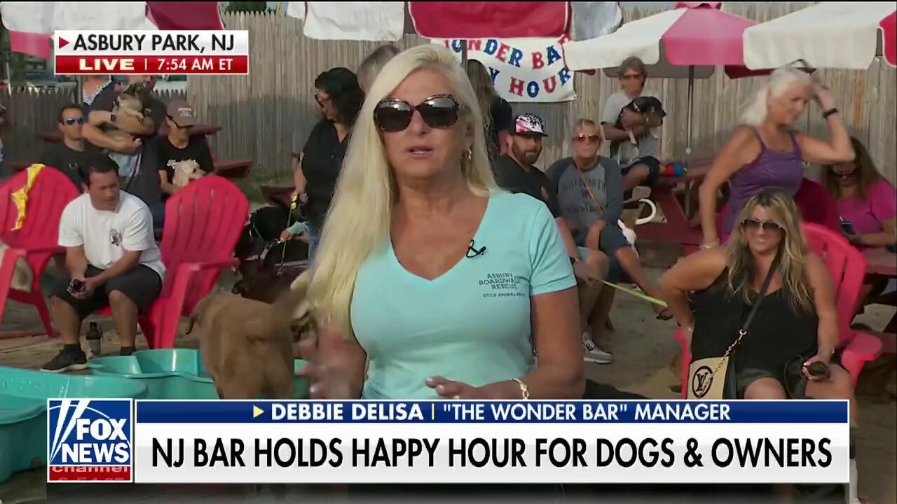 NJ bar hosts 'Yappy Hour' on National Dog Day