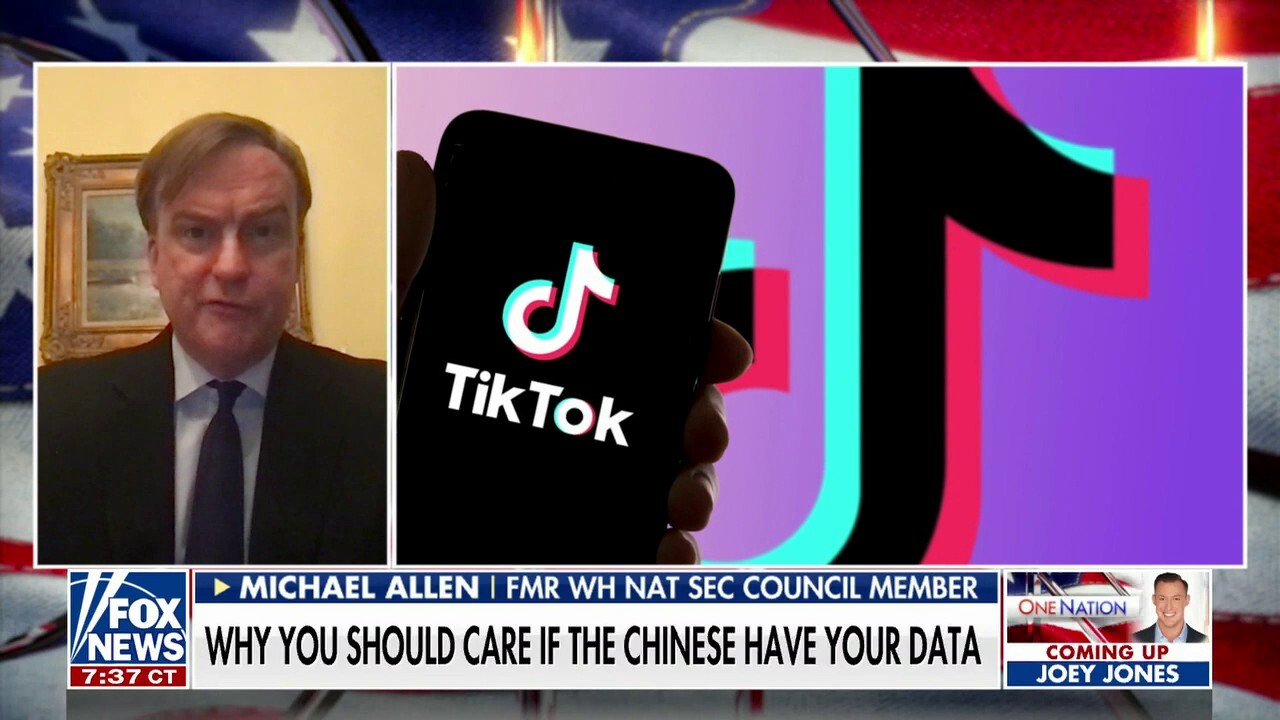 National security expert reveals data TikTok collects from Americans