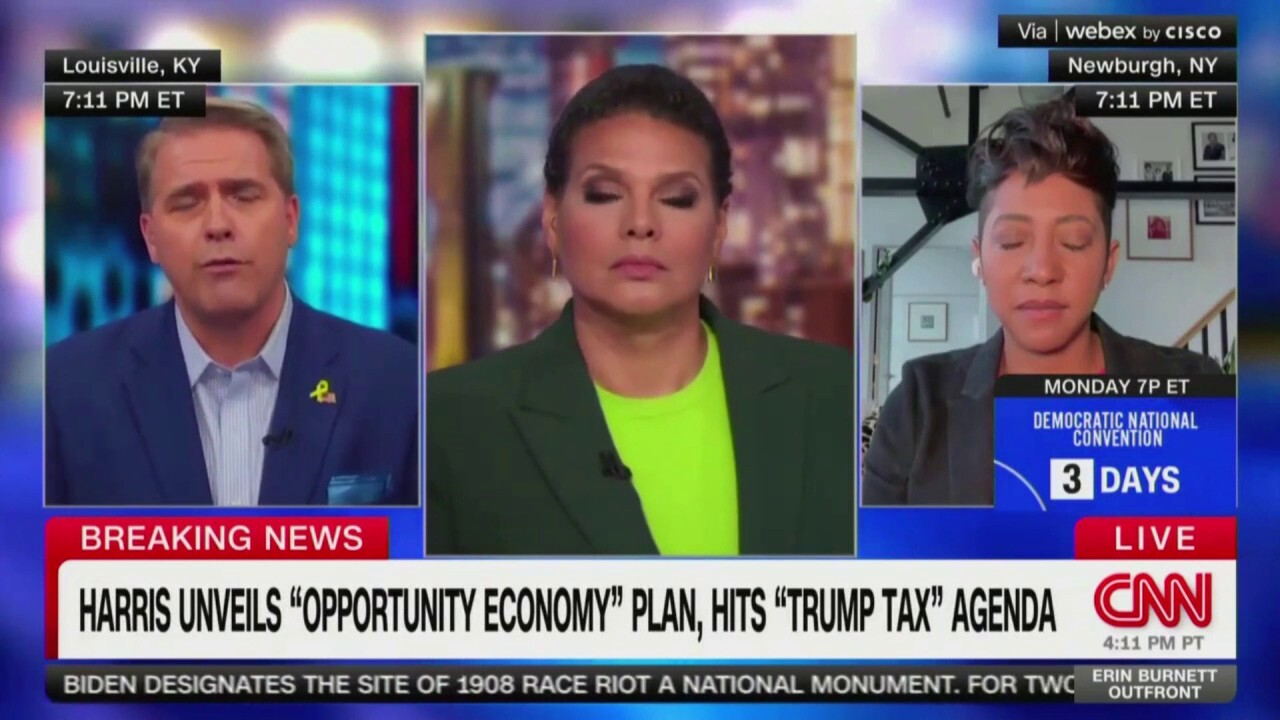 Harris' price control plan will cause 'bread lines' and recreate 'The Walking Dead' economy: CNN commentator