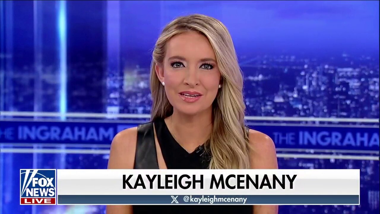 Kayleigh McEnany: Now Hillary Clinton is concerned about too much acting in politics
