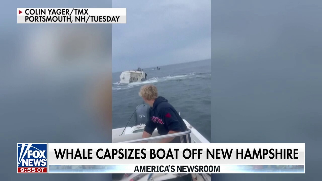 Teens save fishermen after whale capsizes boat: 'Completely insane'
