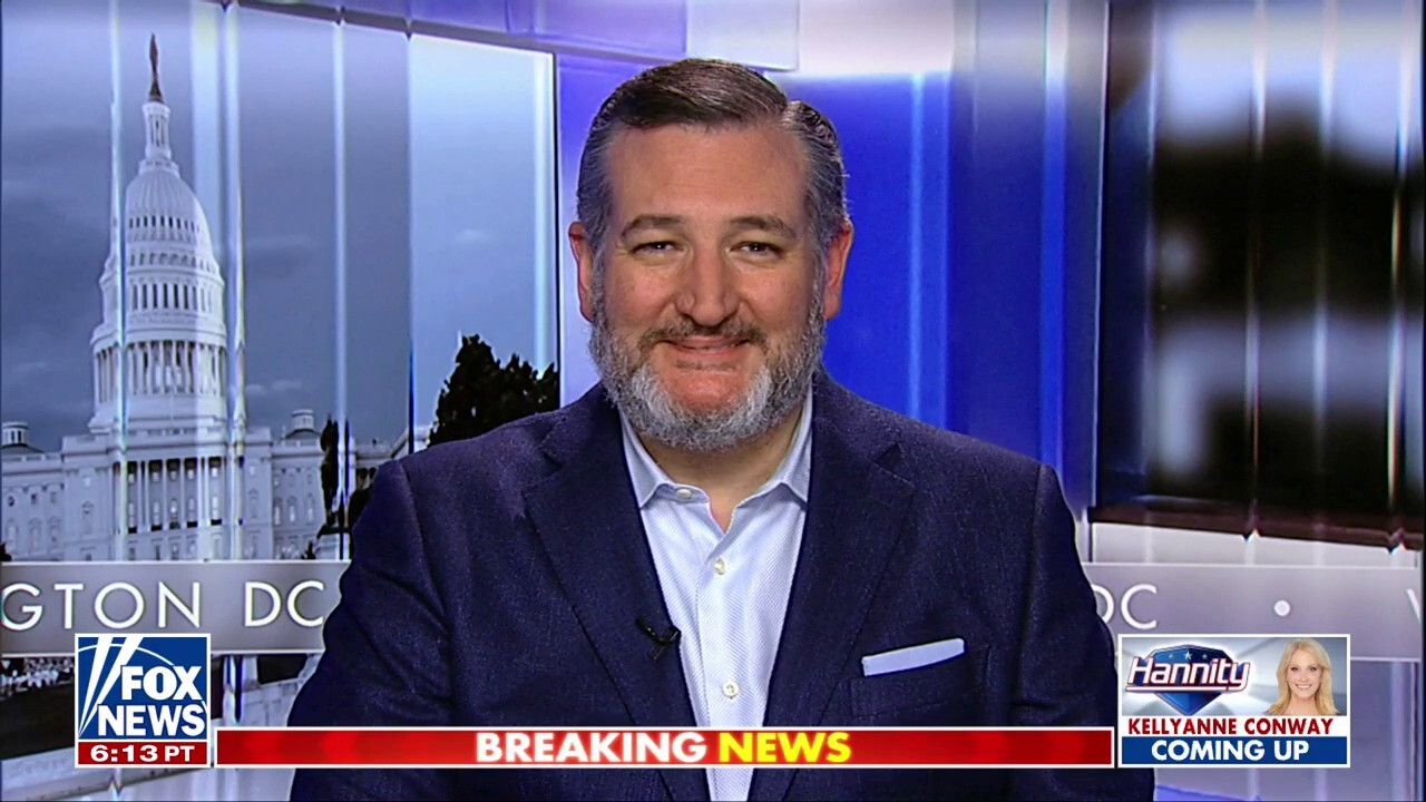 This deal would ‘normalize’ 5,000 migrants a day: Sen. Ted Cruz