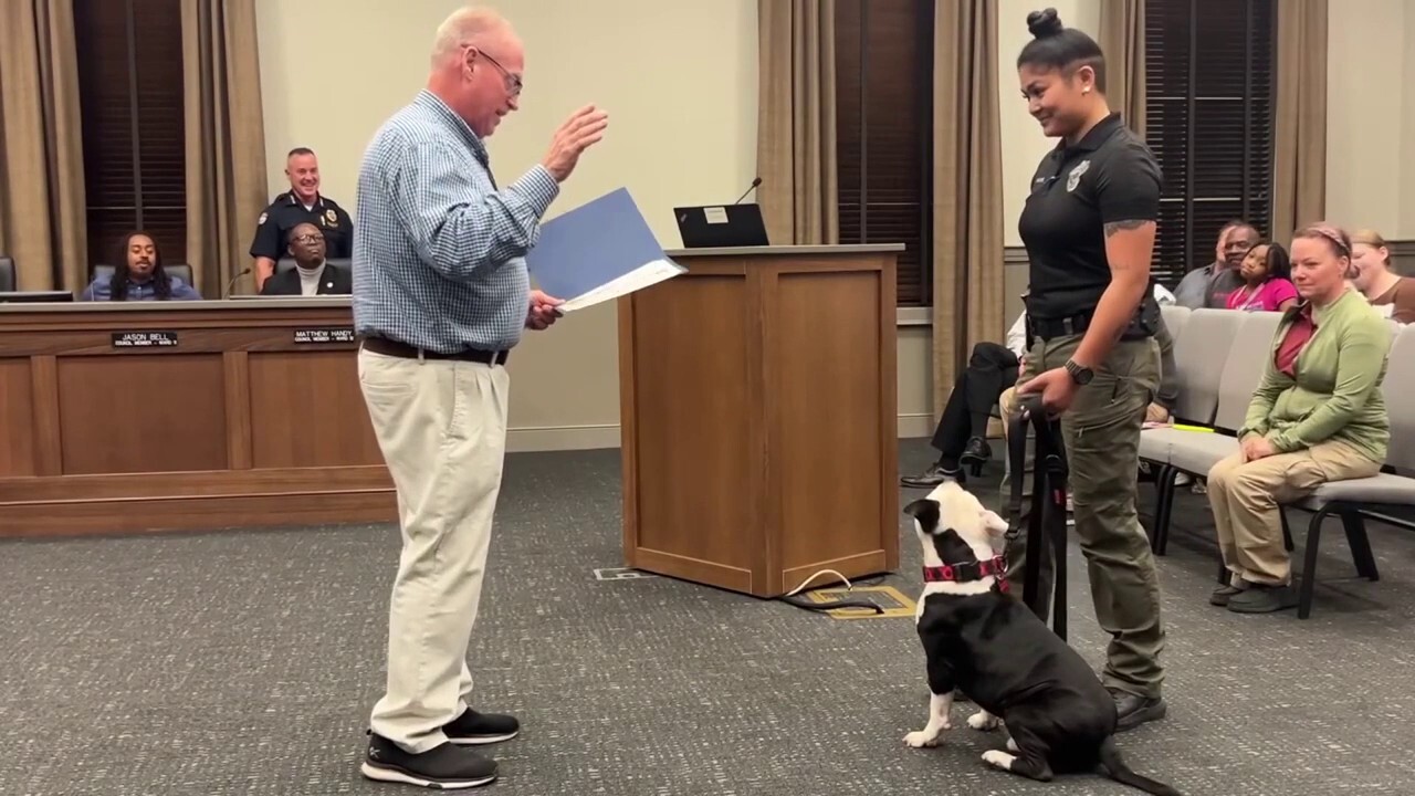 Police department swears in rescue dog during official ceremony