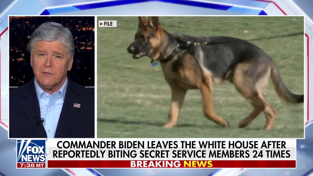 Biden's dog Commander leaves the White House after biting Secret Service members 24 times