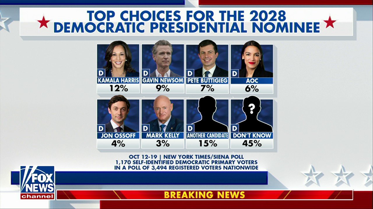 Democrats divided over potential 2028 presidential candidates: Poll