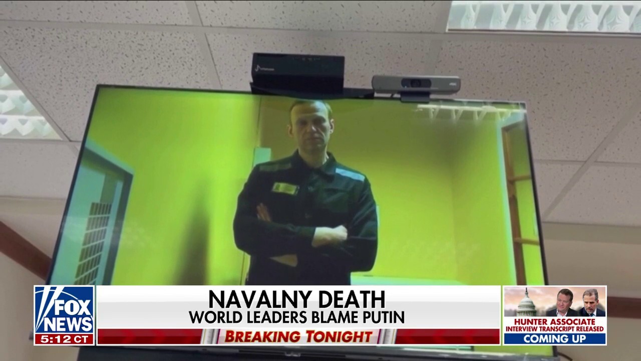 World leaders blame Putin for Alexei Navalny's death